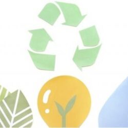 Ecodiseño: envases sostenibles y funcionales centrados en el producto