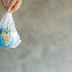 Fausses croyances sur les emballages plastiques et la durabilité