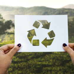 Recycling in the EU and Member State Roles