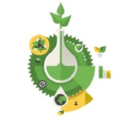 L’emballage durable à partir de l&rsquo;utilisation des déchets comme matières premières