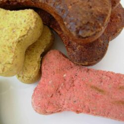 Latest innovations in pet-food packaging