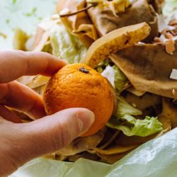 Réduire le gaspillage alimentaire : le rôle des emballages plastiques